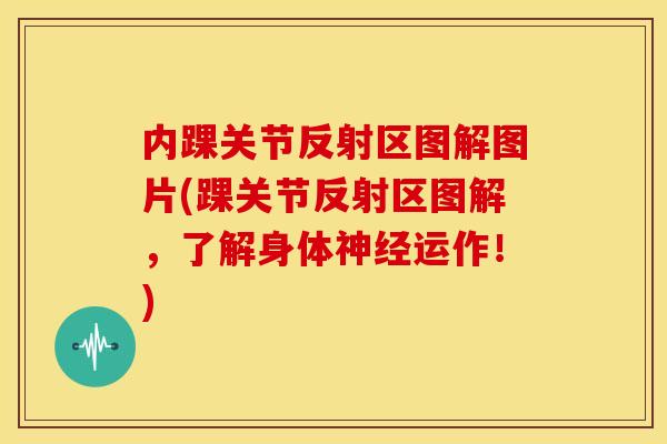 内踝关节反射区图解图片(踝关节反射区图解,了解身体运作!) 内踝关节反射区图解图片(踝关节反射区图解,了解身体运作!)