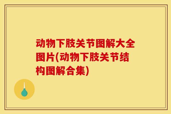 动物下肢关节图解大全图片(动物下肢关节结构图解合集)