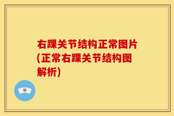 右踝关节结构正常图片(正常右踝关节结构图解析) 右踝关节结构正常图片(正常右踝关节结构图解析)