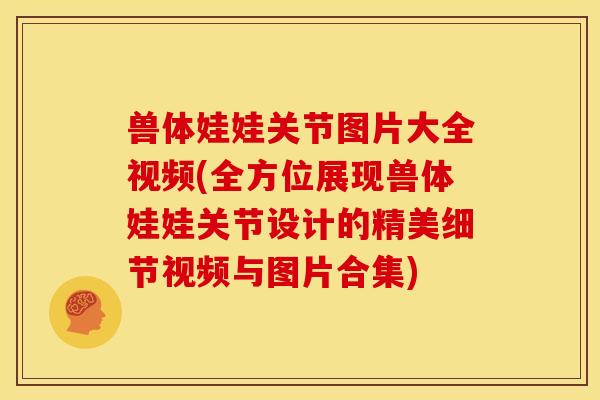 兽体娃娃关节图片大全视频(全方位展现兽体娃娃关节设计的精美细节视频与图片合集)