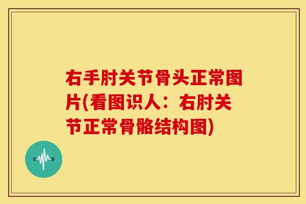 右手肘关节骨头正常图片(看图识人：右肘关节正常骨骼结构图)