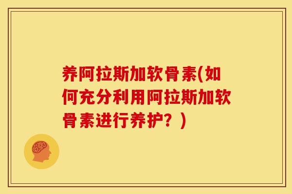 养阿拉斯加软骨素(如何充分利用阿拉斯加软骨素进行养护?) 养阿拉斯加软骨素(如何充分利用阿拉斯加软骨素进行养护?)