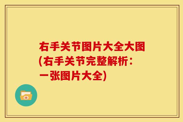 右手关节图片大全大图(右手关节完整解析：一张图片大全)