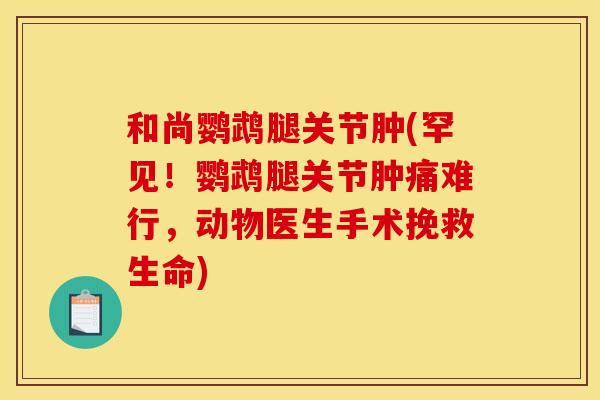 和尚鹦鹉腿关节肿(罕见!鹦鹉腿关节肿痛难行,动物医生手术挽救生命) 和尚鹦鹉腿关节肿(罕见!鹦鹉腿关节肿痛难行,动物医生手术挽救生命)