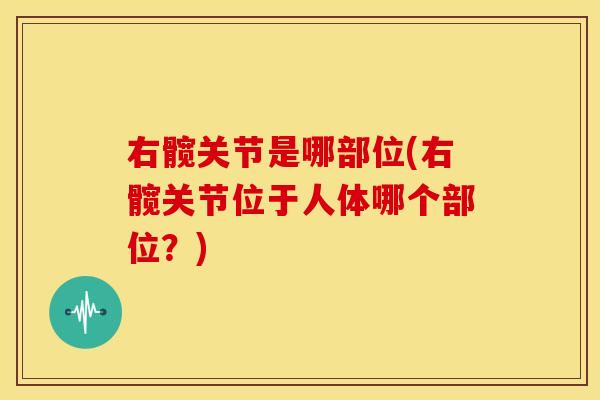 右髋关节是哪部位(右髋关节位于人体哪个部位？)