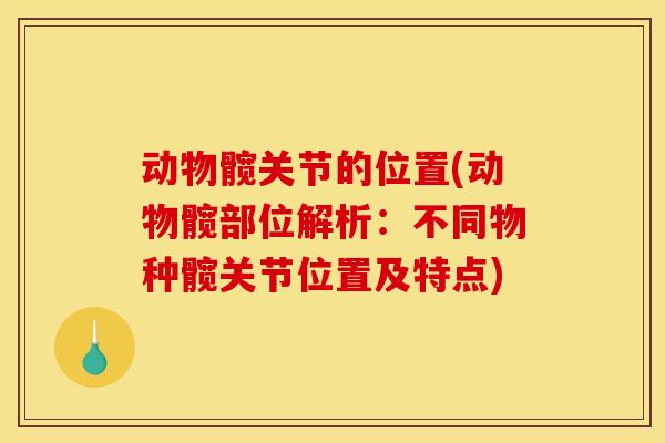 动物髋关节的位置(动物髋部位解析:不同物种髋关节位置及特点) 动物髋关节的位置(动物髋部位解析:不同物种髋关节位置及特点)
