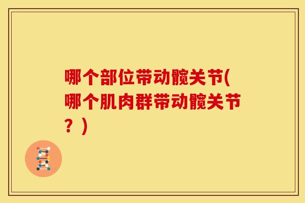哪个部位带动髋关节(哪个肌肉群带动髋关节?) 哪个部位带动髋关节(哪个肌肉群带动髋关节?)