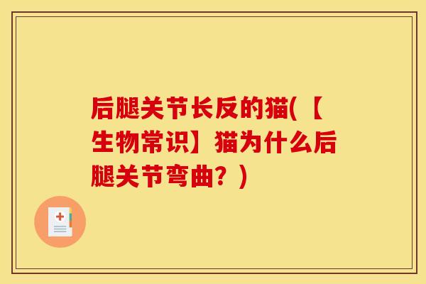后腿关节长反的猫(【生物常识】猫为什么后腿关节弯曲？)