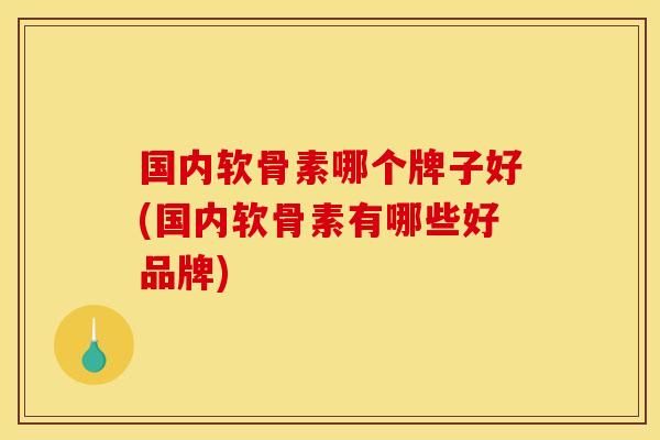 国内软骨素哪个牌子好(国内软骨素有哪些好品牌)