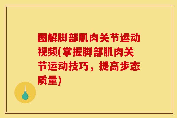 图解脚部肌肉关节运动视频(掌握脚部肌肉关节运动技巧，提高步态质量)