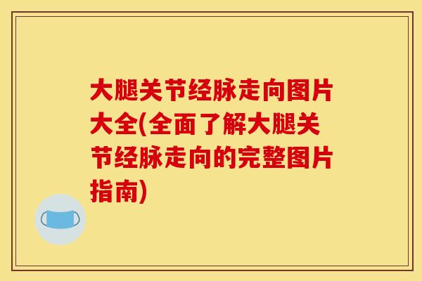 大腿关节经脉走向图片大全(全面了解大腿关节经脉走向的完整图片指南) 大腿关节经脉走向图片大全(全面了解大腿关节经脉走向的完整图片指南)