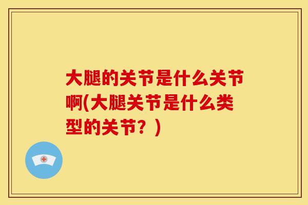大腿的关节是什么关节啊(大腿关节是什么类型的关节？)