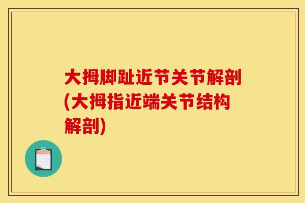 大拇脚趾近节关节解剖(大拇指近端关节结构解剖) 大拇脚趾近节关节解剖(大拇指近端关节结构解剖)