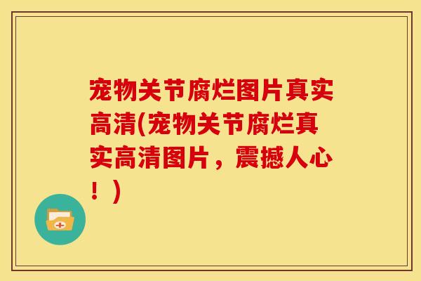 宠物关节腐烂图片真实高清(宠物关节腐烂真实高清图片,震撼人心!) 宠物关节腐烂图片真实高清(宠物关节腐烂真实高清图片,震撼人心!)