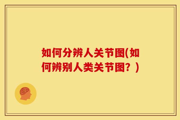 如何分辨人关节图(如何辨别人类关节图?) 如何分辨人关节图(如何辨别人类关节图?)
