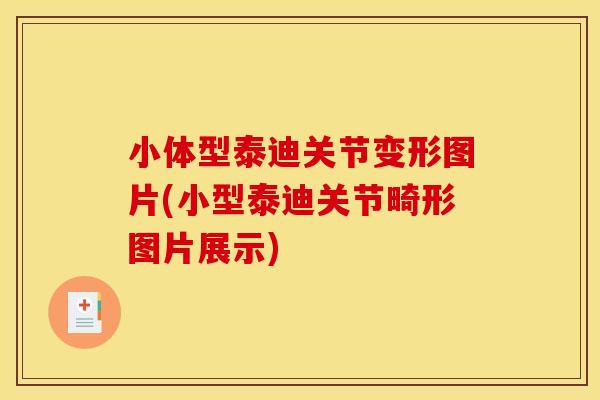 小体型泰迪关节变形图片(小型泰迪关节畸形图片展示) 小体型泰迪关节变形图片(小型泰迪关节畸形图片展示)