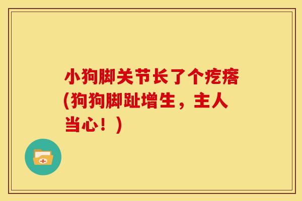 小狗脚关节长了个疙瘩(狗狗脚趾增生,主人当心!) 小狗脚关节长了个疙瘩(狗狗脚趾增生,主人当心!)