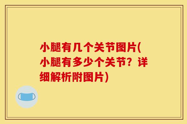 小腿有几个关节图片(小腿有多少个关节?详细解析附图片) 小腿有几个关节图片(小腿有多少个关节?详细解析附图片)