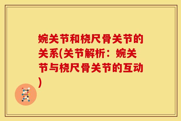 婉关节和桡尺骨关节的关系(关节解析:婉关节与桡尺骨关节的互动) 婉关节和桡尺骨关节的关系(关节解析:婉关节与桡尺骨关节的互动)