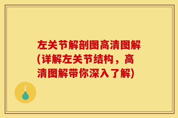 左关节解剖图高清图解(详解左关节结构,高清图解带你深入了解) 左关节解剖图高清图解(详解左关节结构,高清图解带你深入了解)