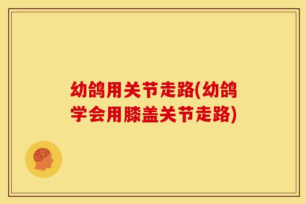 幼鸽用关节走路(幼鸽学会用膝盖关节走路) 幼鸽用关节走路(幼鸽学会用膝盖关节走路)