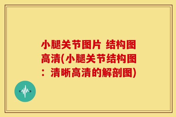 小腿关节图片 结构图高清(小腿关节结构图:清晰高清的解剖图) 小腿关节图片 结构图高清(小腿关节结构图:清晰高清的解剖图)