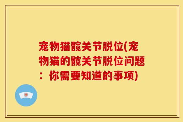 宠物猫髋关节脱位(宠物猫的髋关节脱位问题：你需要知道的事项)