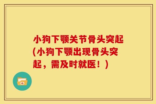 小狗下颚关节骨头突起(小狗下颚出现骨头突起,需及时就医!) 小狗下颚关节骨头突起(小狗下颚出现骨头突起,需及时就医!)
