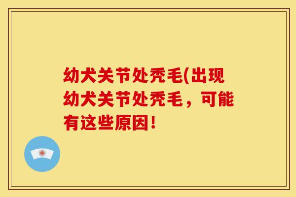 幼犬关节处秃毛(出现幼犬关节处秃毛,可能有这些原因! 幼犬关节处秃毛(出现幼犬关节处秃毛,可能有这些原因!