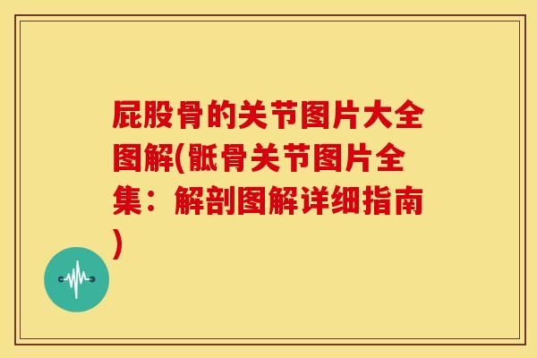 屁股骨的关节图片大全图解(骶骨关节图片全集：解剖图解详细指南)