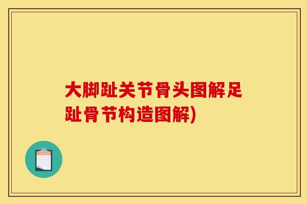 大脚趾关节骨头图解足趾骨节构造图解)
