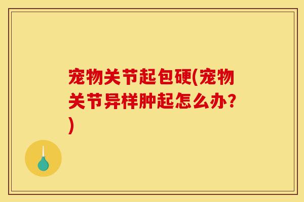 宠物关节起包硬(宠物关节异样肿起怎么办？)