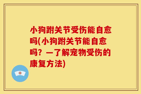 小狗跗关节受伤能自愈吗(小狗跗关节能自愈吗?—了解宠物受伤的康复方法) 小狗跗关节受伤能自愈吗(小狗跗关节能自愈吗?—了解宠物受伤的康复方法)