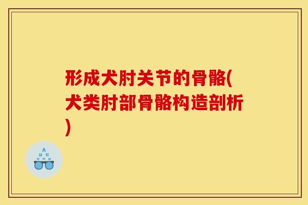 形成犬肘关节的骨骼(犬类肘部骨骼构造剖析) 形成犬肘关节的骨骼(犬类肘部骨骼构造剖析)