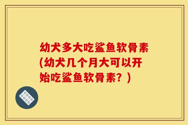 幼犬多大吃鲨鱼软骨素(幼犬几个月大可以开始吃鲨鱼软骨素?) 幼犬多大吃鲨鱼软骨素(幼犬几个月大可以开始吃鲨鱼软骨素?)