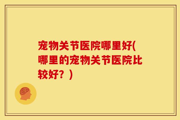 宠物关节医院哪里好(哪里的宠物关节医院比较好？)