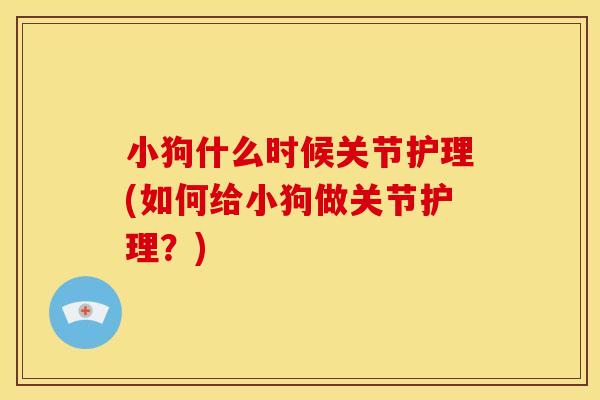 小狗什么时候关节护理(如何给小狗做关节护理？)