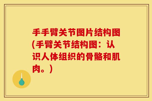 手手臂关节图片结构图(手臂关节结构图:认识人体组织的骨骼和肌肉。) 手手臂关节图片结构图(手臂关节结构图:认识人体组织的骨骼和肌肉。)