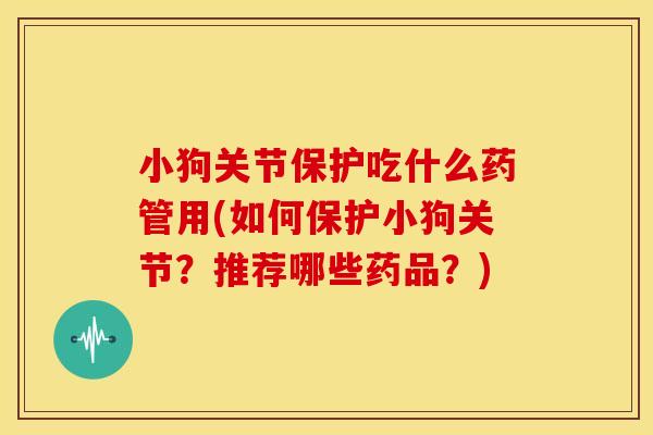 小狗关节保护吃什么药管用(如何保护小狗关节？推荐哪些药品？)