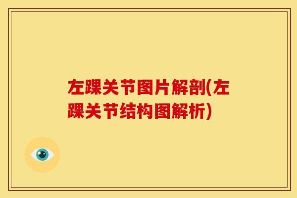 左踝关节图片解剖(左踝关节结构图解析)