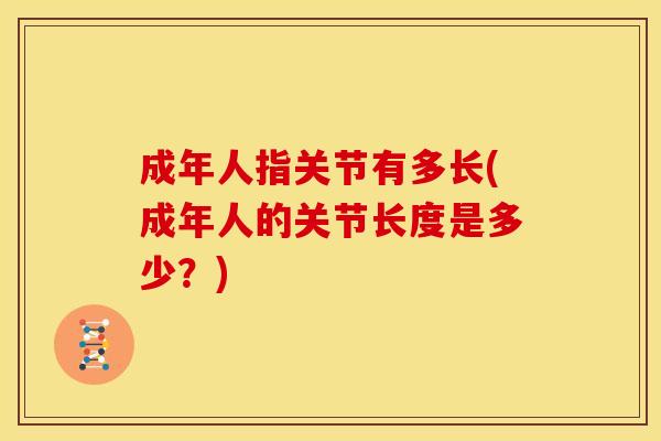 成年人指关节有多长(成年人的关节长度是多少？)