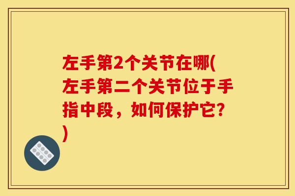 左手第2个关节在哪(左手第二个关节位于手指中段,如何保护它?) 左手第2个关节在哪(左手第二个关节位于手指中段,如何保护它?)