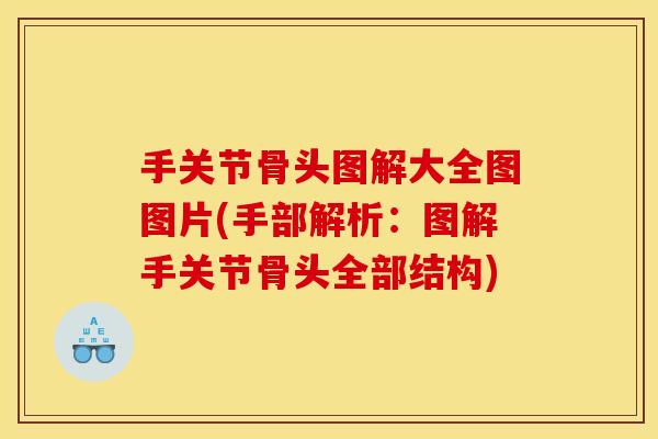 手关节骨头图解大全图图片(手部解析：图解手关节骨头全部结构)