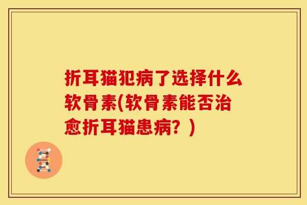 折耳猫犯了选择什么软骨素(软骨素能否愈折耳猫患？)