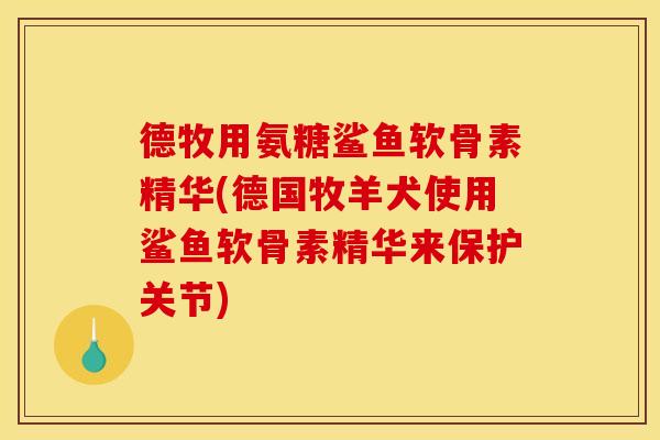 德牧用氨糖鲨鱼软骨素精华(德国牧羊犬使用鲨鱼软骨素精华来保护关节) 德牧用氨糖鲨鱼软骨素精华(德国牧羊犬使用鲨鱼软骨素精华来保护关节)