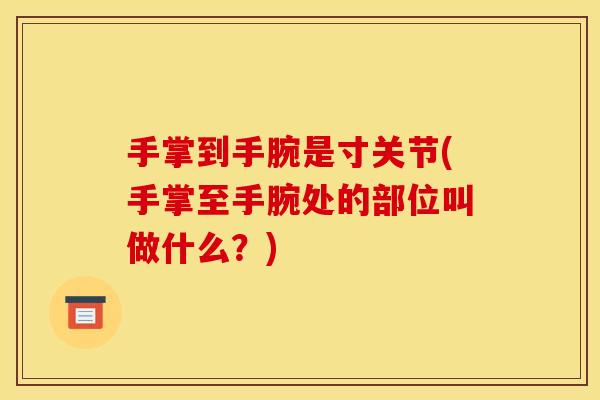 手掌到手腕是寸关节(手掌至手腕处的部位叫做什么？)