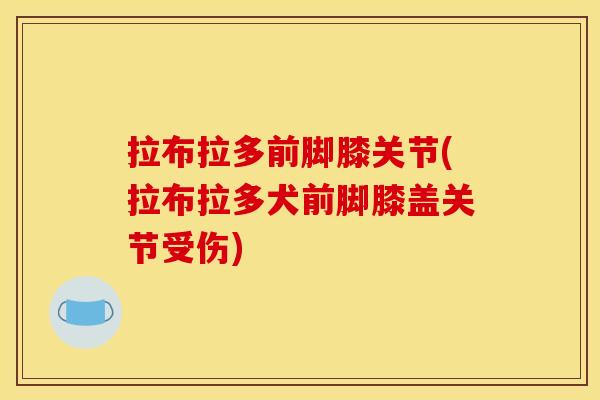 拉布拉多前脚膝关节(拉布拉多犬前脚膝盖关节受伤)