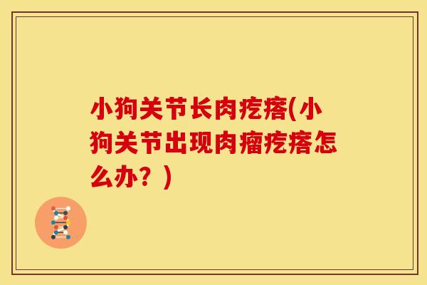 小狗关节长肉疙瘩(小狗关节出现肉瘤疙瘩怎么办?) 小狗关节长肉疙瘩(小狗关节出现肉瘤疙瘩怎么办?)