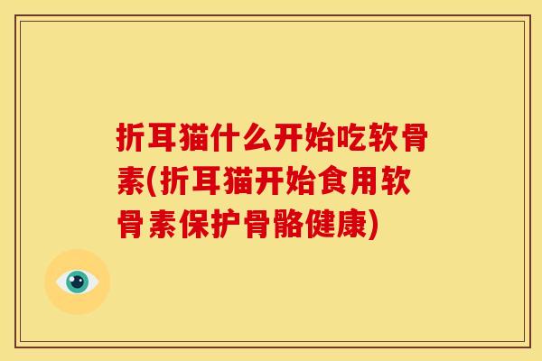 折耳猫什么开始吃软骨素(折耳猫开始食用软骨素保护骨骼健康)