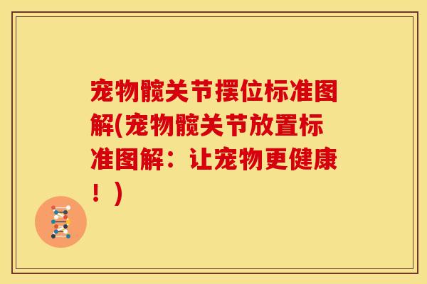 宠物髋关节摆位标准图解(宠物髋关节放置标准图解：让宠物更健康！)
